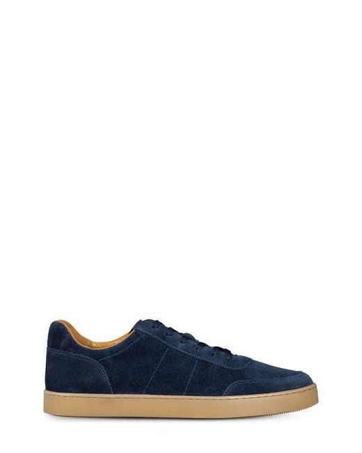 Allen Edmonds Blue Liam Sneaker for men
