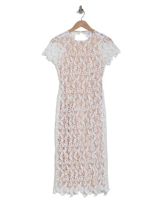 Nsr lace midi dress sales