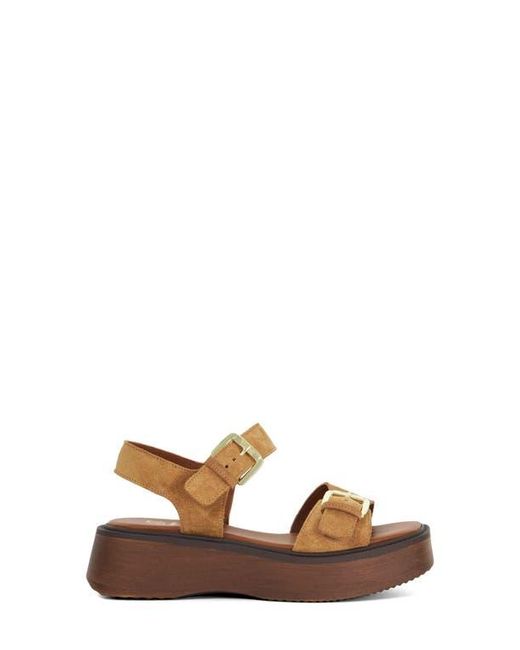 Dune Brown Luno Ankle Strap Platform Sandal