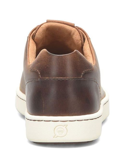 Børn Brown Aden Sneaker for men