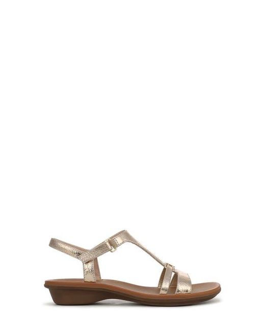 Naturalizer Brown Sofia Sandal