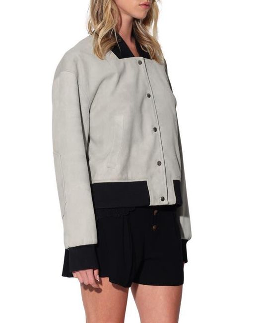 Walter Baker Multicolor Emilio Suede Jacket
