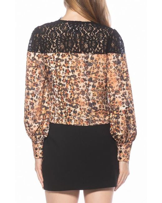 Alexia Admor Black Bryne Lace Trim Top