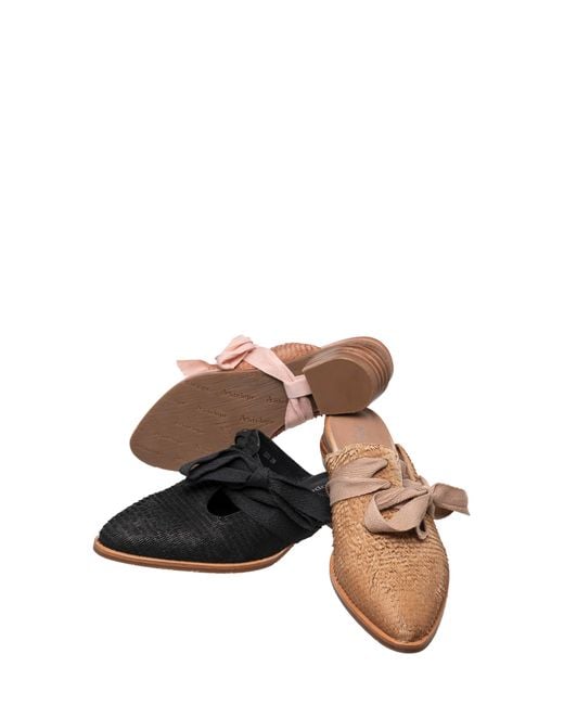 Antelope inspired shop shoe brand