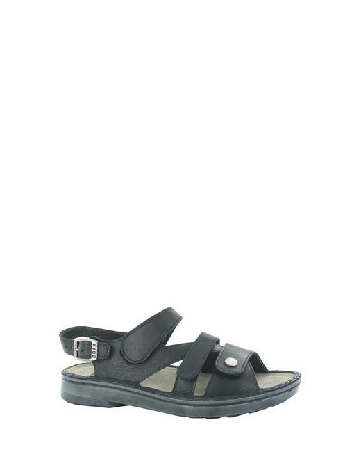 Naot Multicolor Fleur Sandal