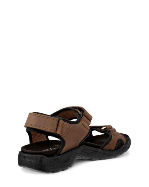 Ecco Brown Hike Sandal for men
