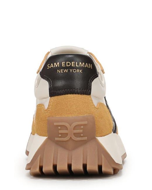 Sam Edelman Multicolor Langley Sneaker