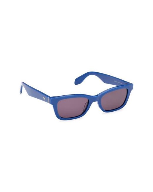Adidas Blue Navigator Sunglasses for men