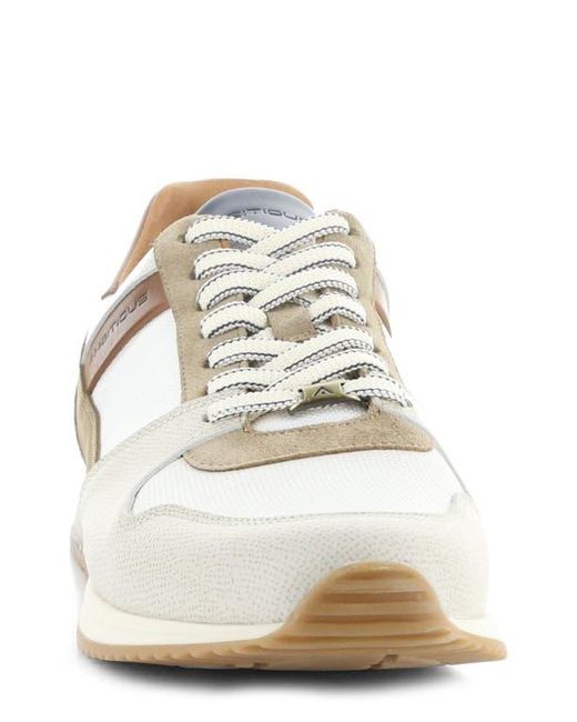 Ambitious White 11240 Perforated Sneaker for men