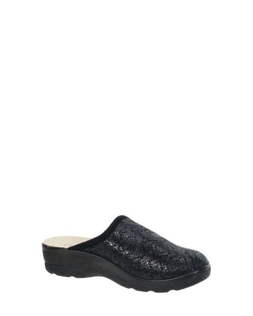 David Tate Black Electra Clog