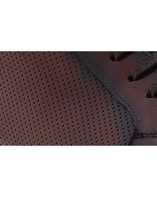 Zanzara Brown Havana Perforated Leather Sneaker for men