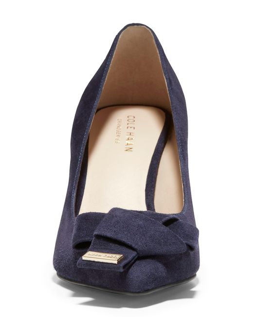 Cole Haan Blue Ina Bow Pointy Toe Pump