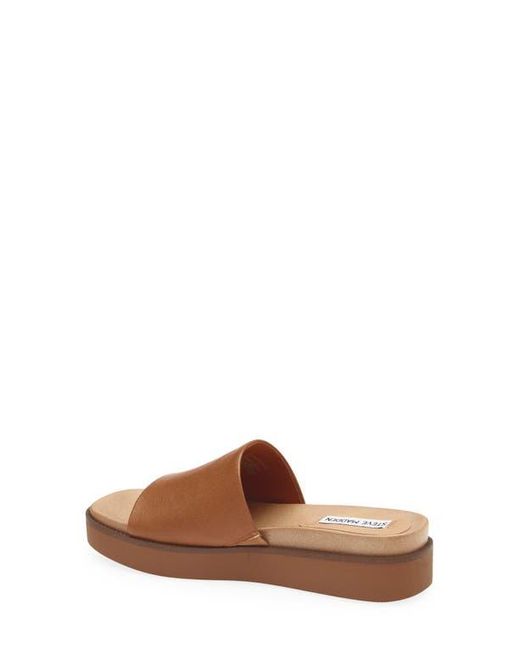Steve Madden Brown Robyn Platform Slide Sandal