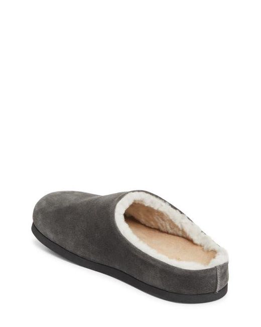 Common Projects Gray Suede & Genuine Shearling Clog