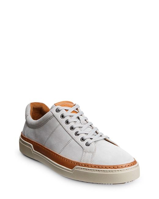 Allen edmonds deals porter