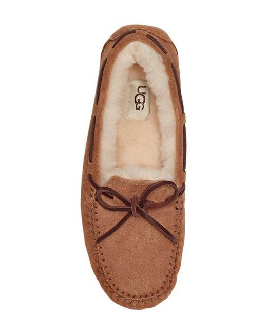 Ugg Brown Dakota Slipper