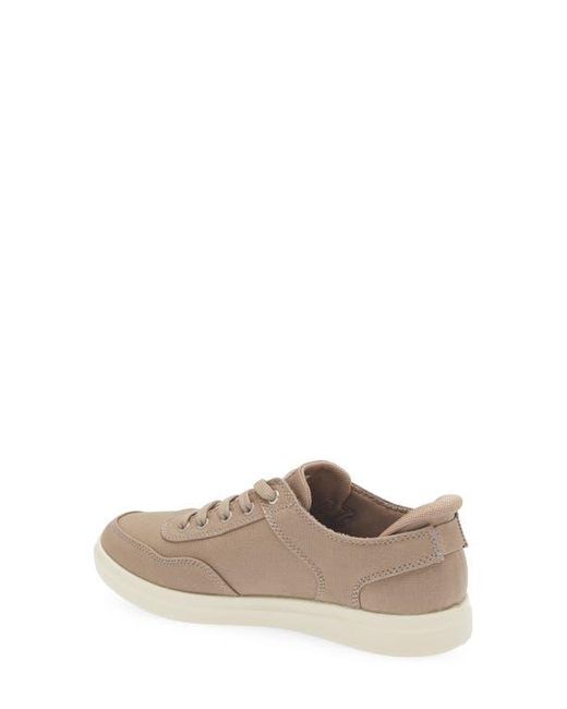 Skechers Brown Slip-Ins: Bobs D'Vine Sneaker