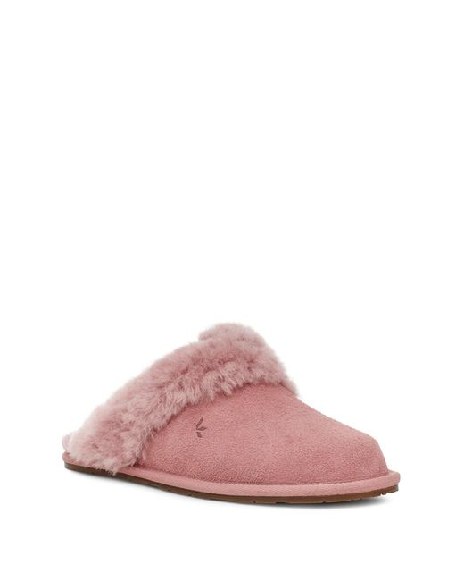 milo scuff slipper