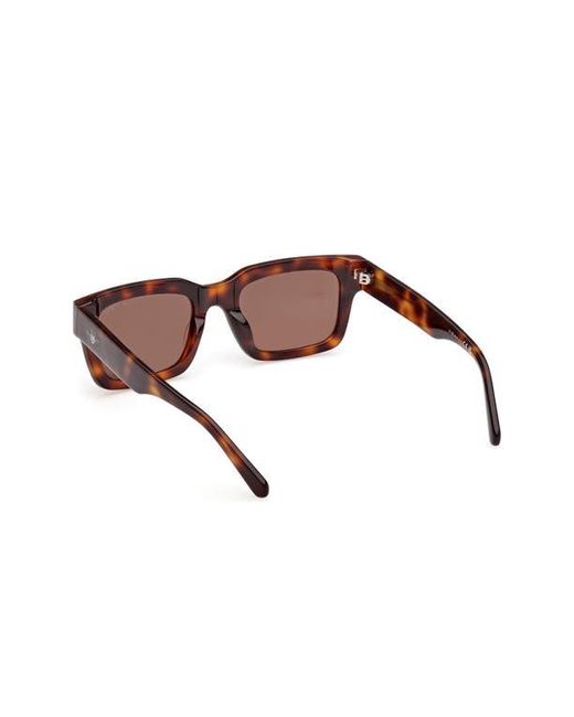 Gant Brown Rectangular Sunglasses for men