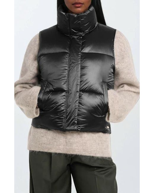 Noize Black Cropped Puffer Vest