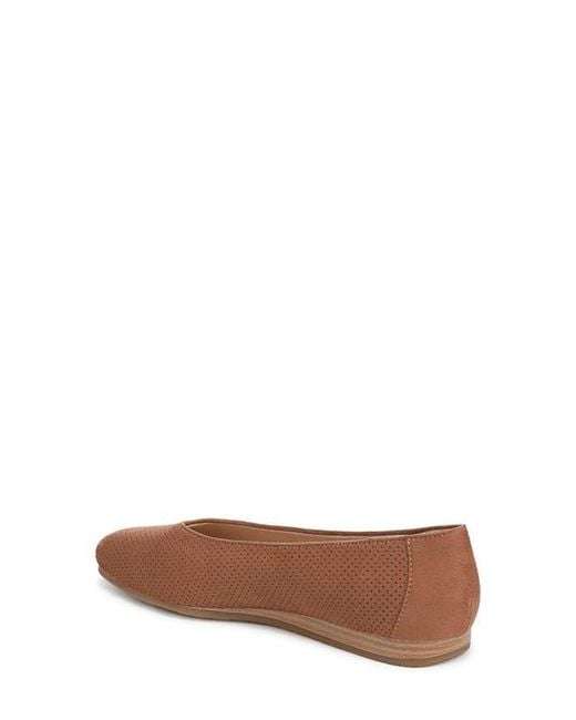Dr. Scholls Brown Flat