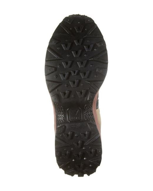 Veja Brown Venturi Sneaker for men