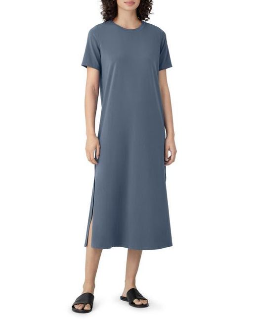 Eileen fisher organic cotton t shirt dress online
