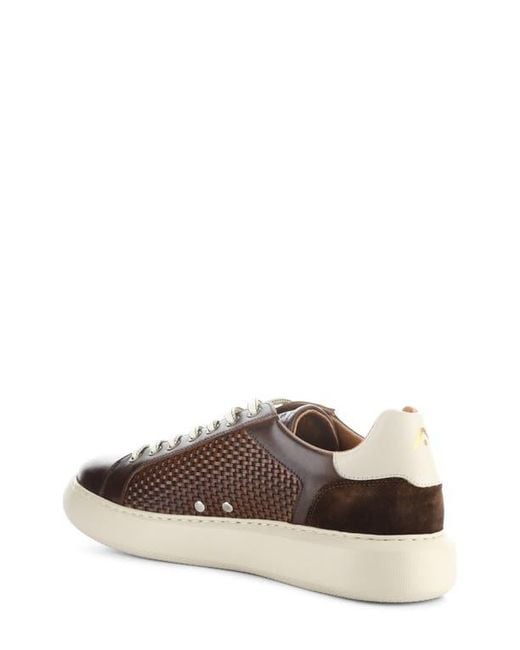 Ambitious Brown 13450 Woven Low Top Sneaker for men