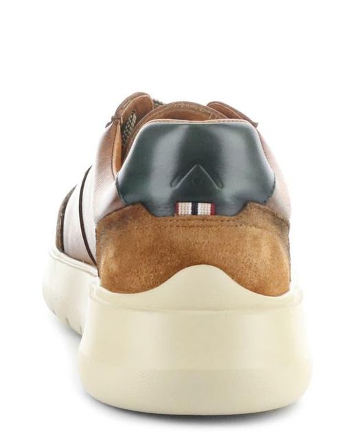 Ambitious Brown 12981B Low Top Sneaker for men