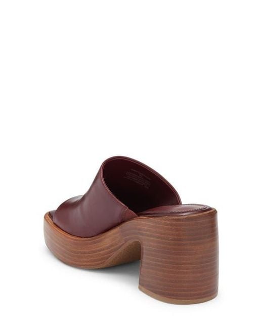 Steve Madden Brown Shanton Platform Slide Sandal