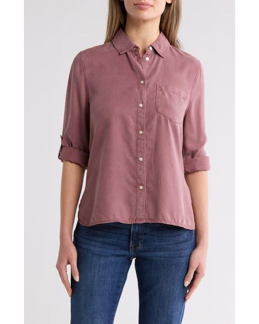 Caslon Purple Split Back Tencel Lyocell Button-Up Shirt