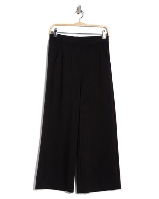 Caslon Black Scuba Wide Leg Pants