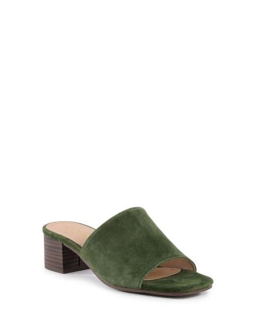 Seychelles Green Pepper Slide Sandal