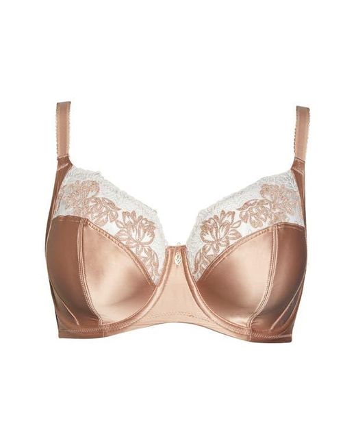Wacoal Brown Side Note Full Coverage Underwire Bra