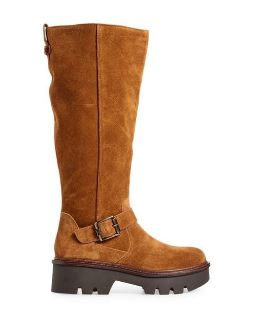 Sam Edelman Brown Carter Knee High Boot