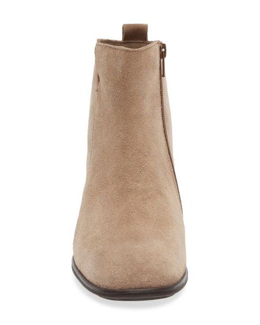 Naot Brown Ethic Bootie