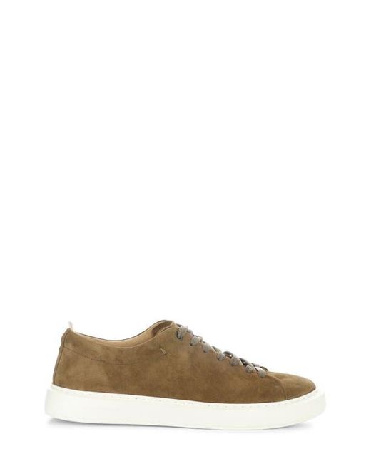 Ambitious Brown 13797 Low Top Sneaker for men