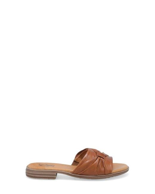 Miz Mooz Brown Daisy Slide Sandal