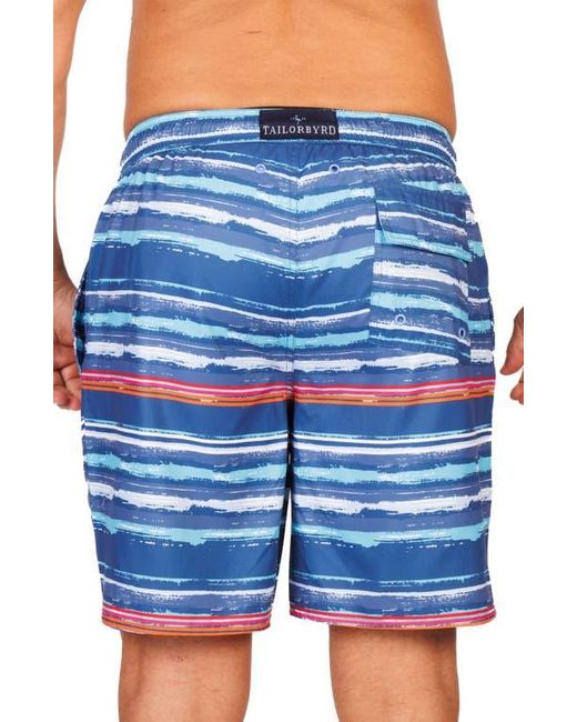 Tailorbyrd Blue Abstract Stripe Swim Trunks for men