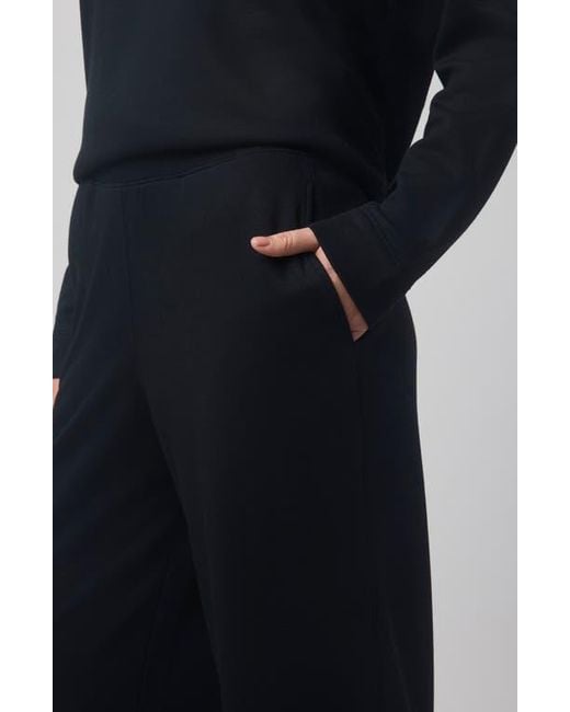 Splendid Blue X @Cellajaneblog Interlock Pants