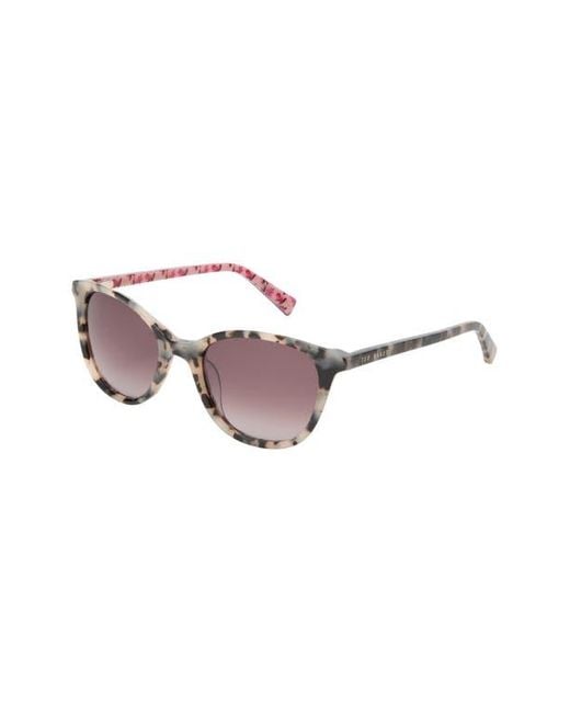 Ted Baker Multicolor 51Mm Gradient Modified Round Sunglasses