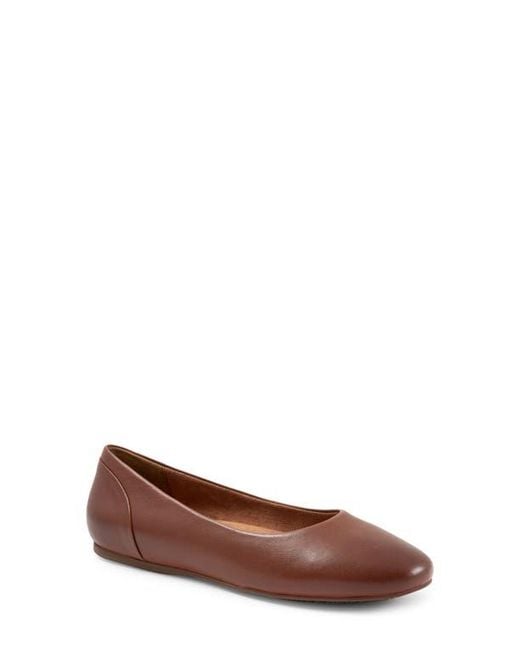 Softwalk® Brown Shiraz Flat