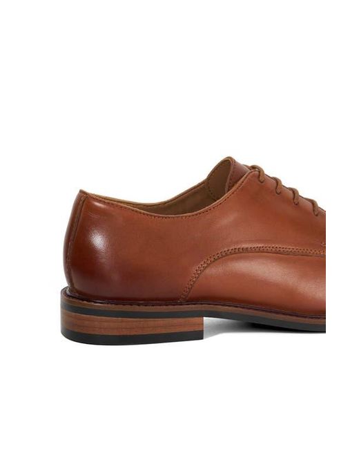 Dune Brown Sethel Plain Toe Derby for men