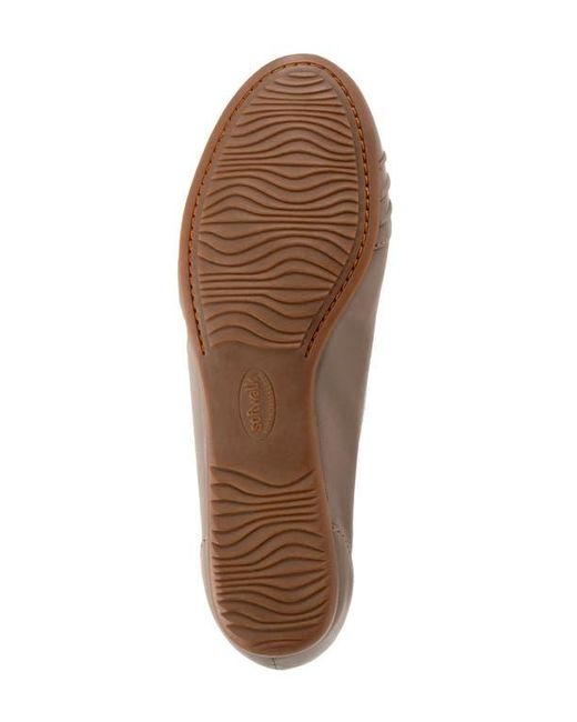 Softwalk® Brown Safi Flat