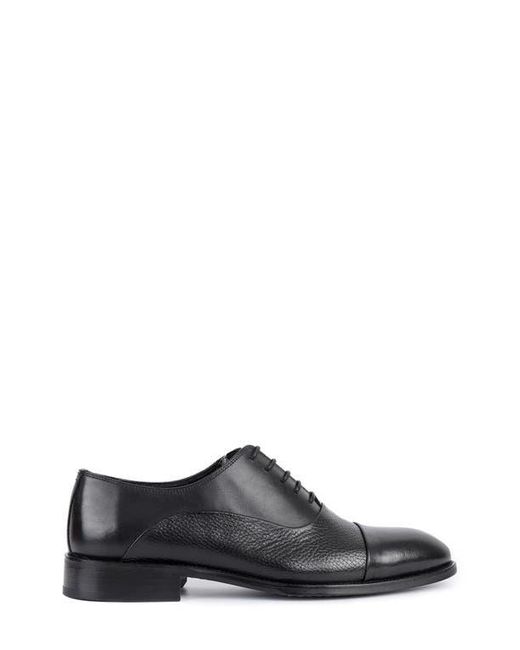 VELLAPAIS Gray Malone Derby for men