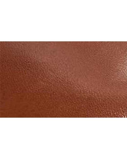 Dune Brown Sethel Plain Toe Derby for men