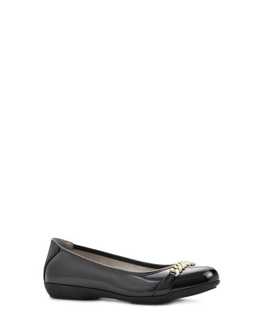 White Mountain Black Mountain Charmed Flat