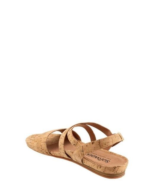 Softwalk® Brown Cali Sandal