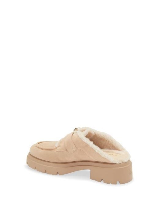 Stuart Weitzman Natural Benni Genuine Shearling Mule