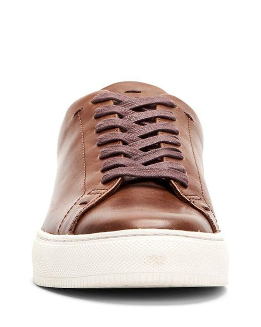 Frye Brown Astor Sneaker for men